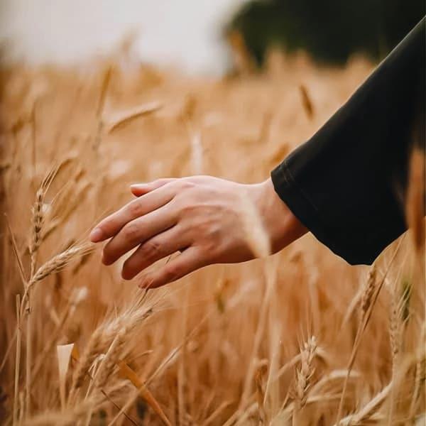 como encontrar familiar difunto