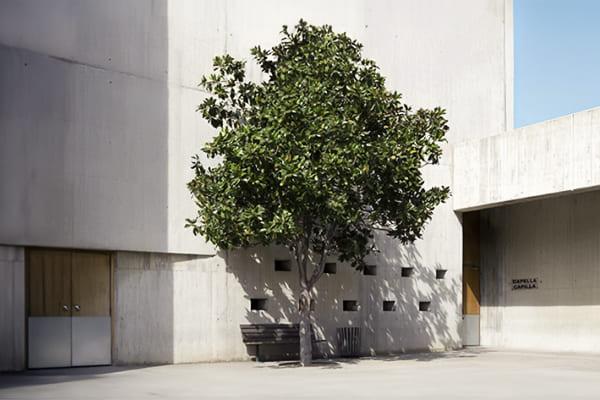 incineración y velatorio