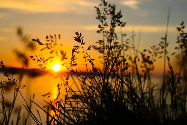 últimas defunciones santa coloma de gramenet